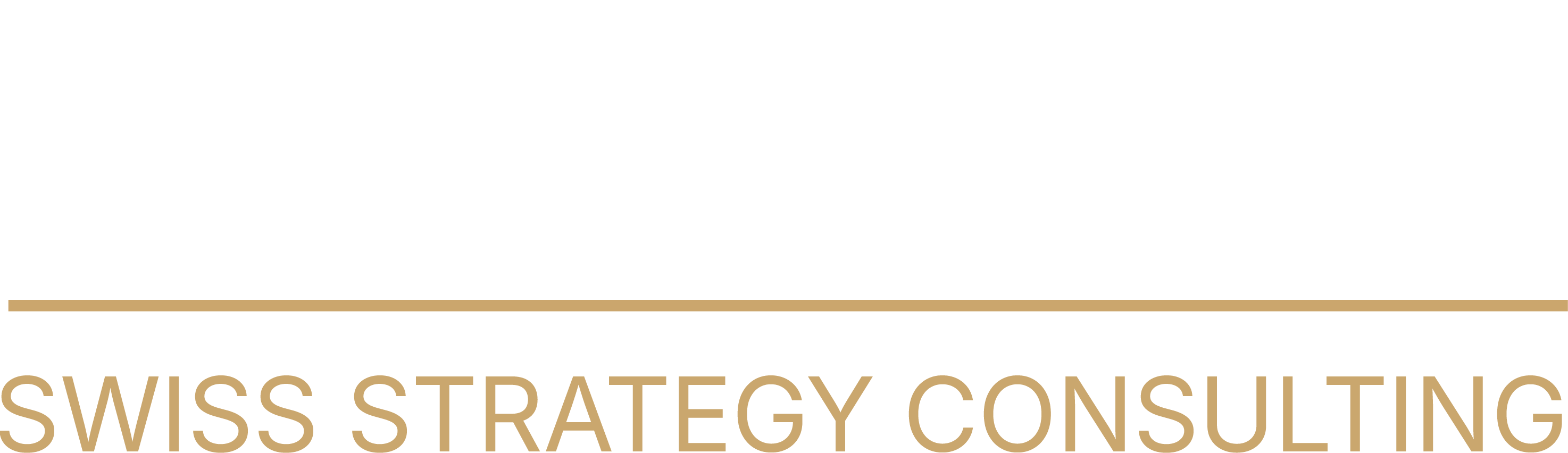 ad bonum AG logo